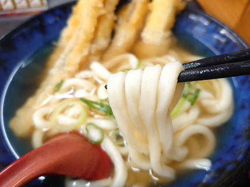 資さんうどん ごぼ天うどんの画像