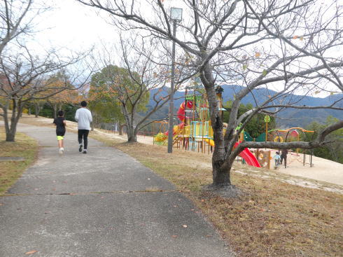 みどり坂中央公園 ウォーキングエリア