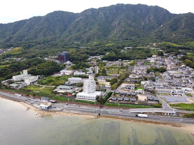 宮浜温泉のヒマラヤスギ、シンボルツリーのライトアップは通年実施