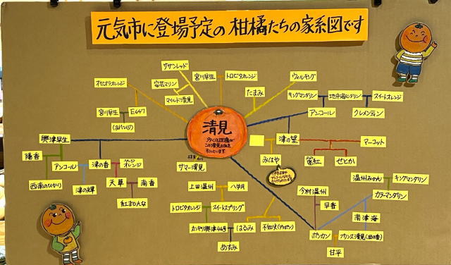 とれたて元気市楽々園店 イオンタウン楽々園内 店内POP