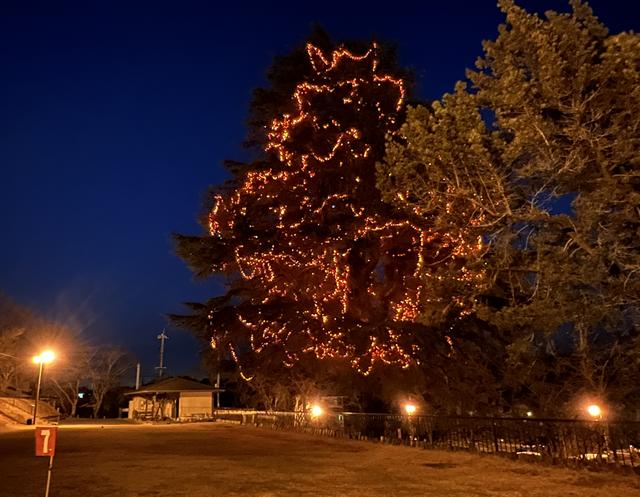 宮浜温泉、年中ツリー点灯中