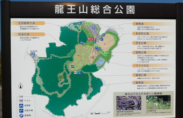 龍王山総合公園（東広島市黒瀬町）マップ