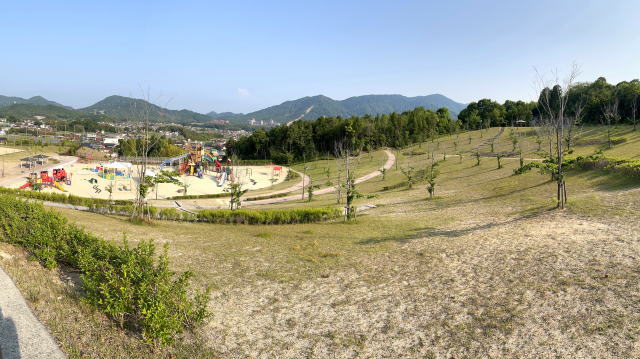 龍王山総合公園（東広島市黒瀬町）サクラの丘 画像