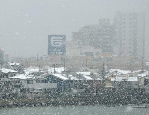 阿品やナタリーフジグランも雪景色に