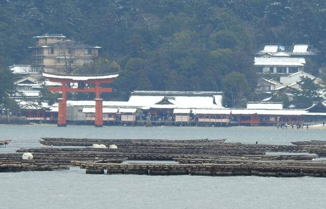 宮島・厳島神社も雪景色へ