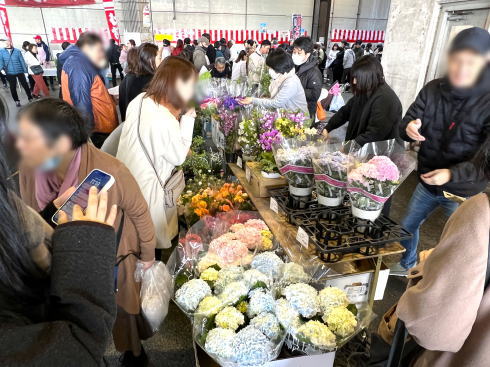 広島市中央市場 市場まつり 会場の様子6