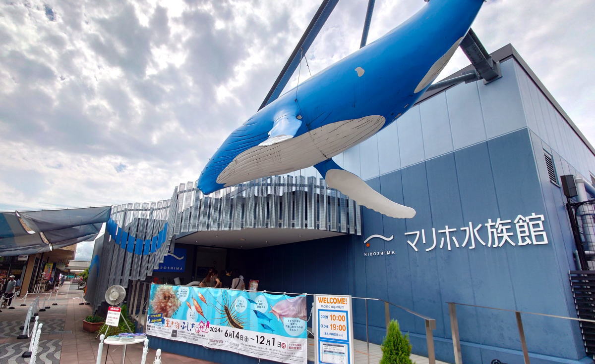 マリホ水族館、復活？新プロジェクト予告で界隈ザワつき