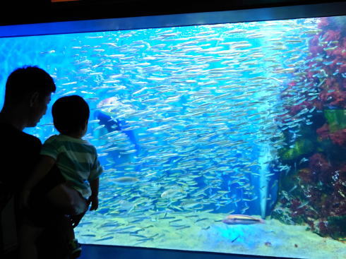 マリホ水族館 館内の様子2