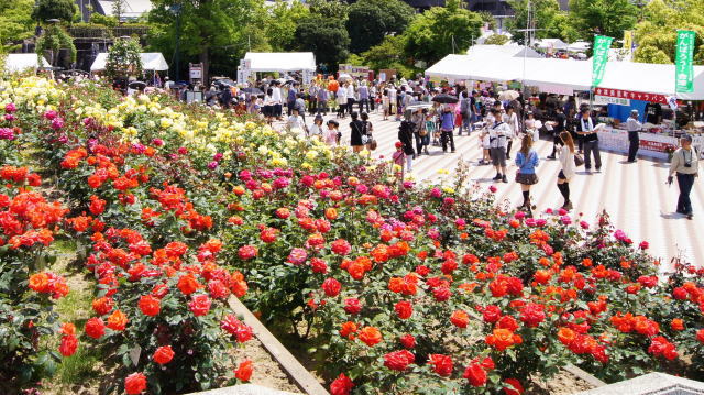福山ばら祭 過去の様子