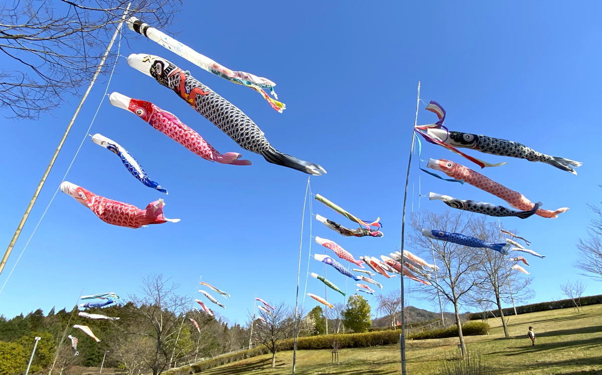広島と近郊の「鯉のぼりスポット」まとめ、この時期だけの大空泳ぐ優雅な姿