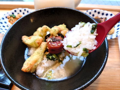 お茶漬け専門店 おだしの香り 磯天と広島菜のだし茶漬け2