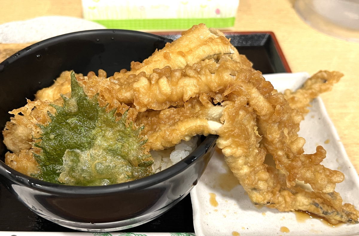 魚食堂たわら、海鮮丼に惜しみなく使われる魚介・はみ出す穴子!魚屋直営の人気店