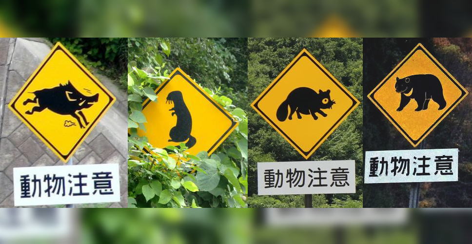 こんな動物まで飛び出してくるの?!「動物注意」の標識看板に見る地域性