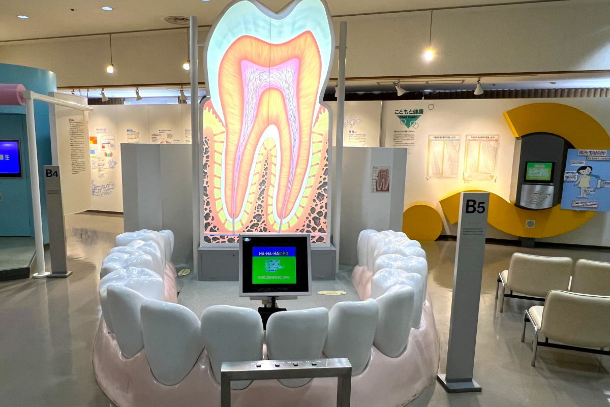 来年閉館の健康科学館、広島市で35年 ユニーク展示が心に残る