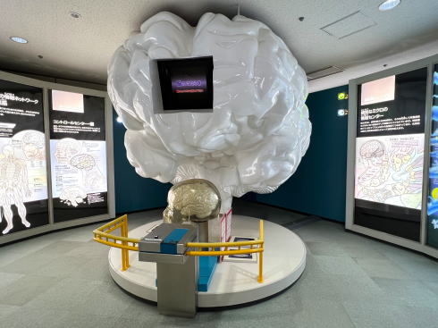 広島市 健康科学館 展示の一部