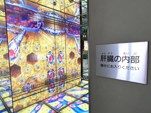 広島市 健康科学館 展示の一部2