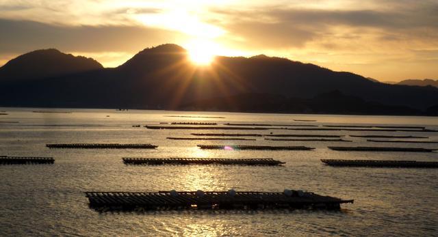 2025 広島湾ナイトクルージング、広島港~江田島・三高港の「夕焼けクルーズ」