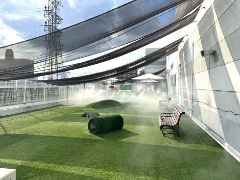 イオンモール広島府中 ドッグランテラス ドッグラン内の様子