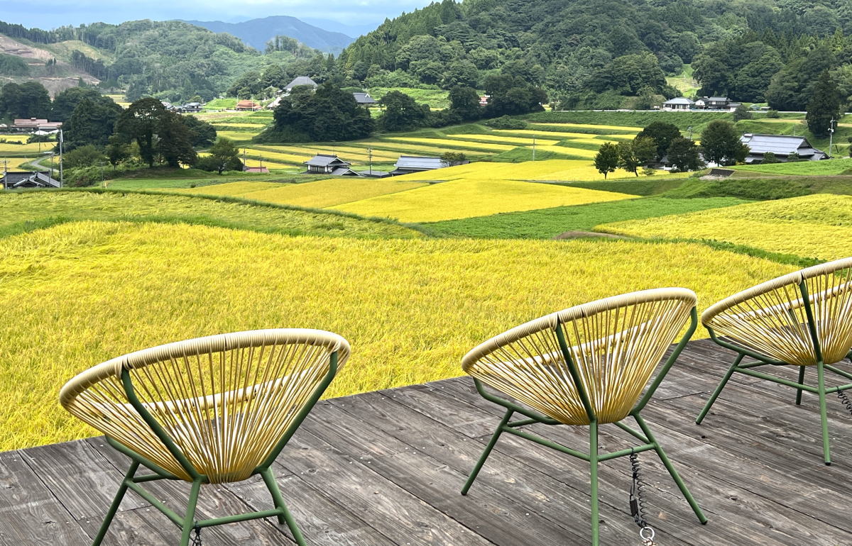 庄原の絶景、今年も。三河内 棚田テラスから黄金色の眺め独り占め
