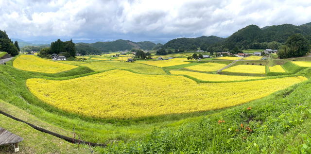 三河内 棚田テラス（広島県庄原市）秋の絶景2