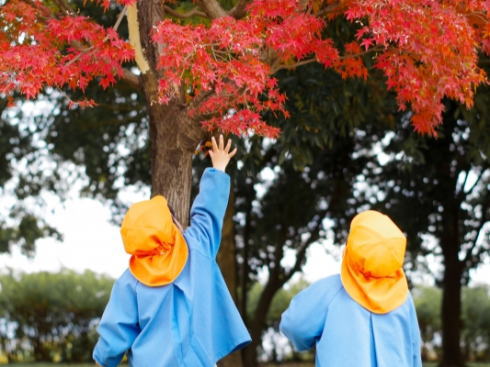 広島弁「たう」「たわん」