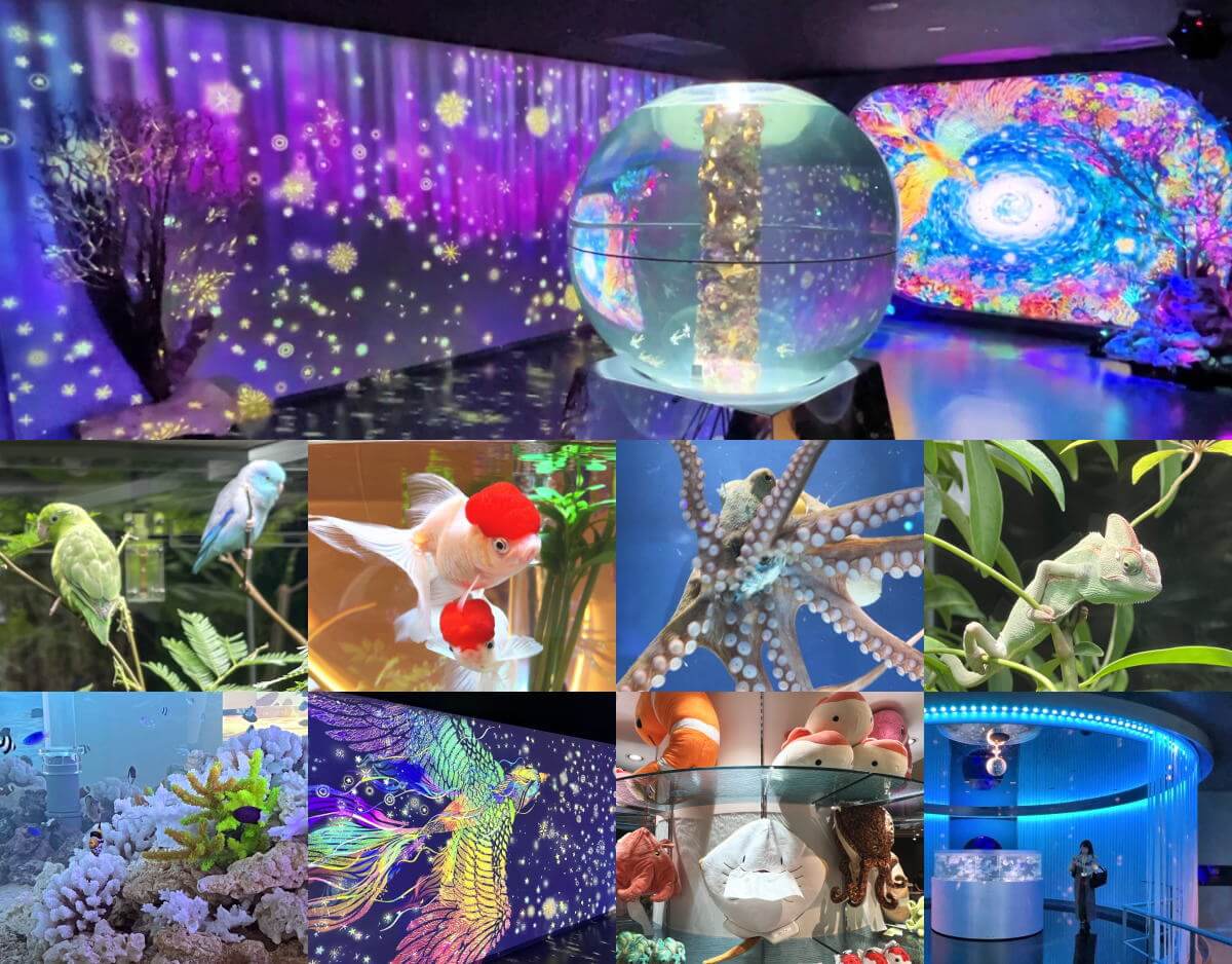 広島もとまち水族館、広島の都心部にアーティスティックな水族館がオープン！年パスも