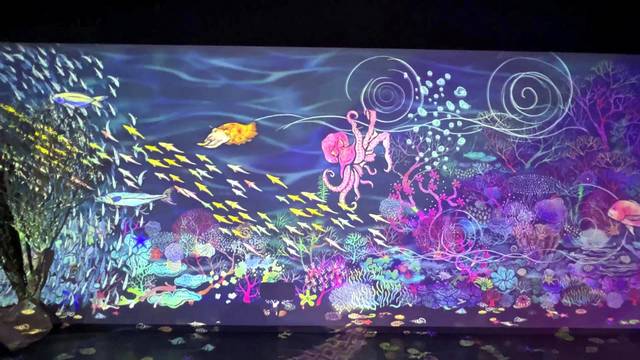 広島もとまち水族館、海の満月ゾーン