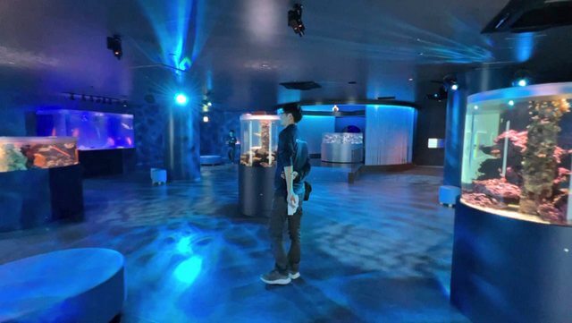 広島もとまち水族館、海の群景水槽ゾーン