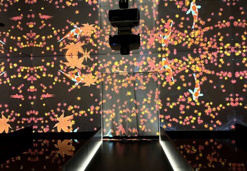 紅葉が散る空間に鯉が泳いでいる