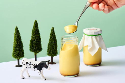 あさぎり牛乳 ミルクプリン