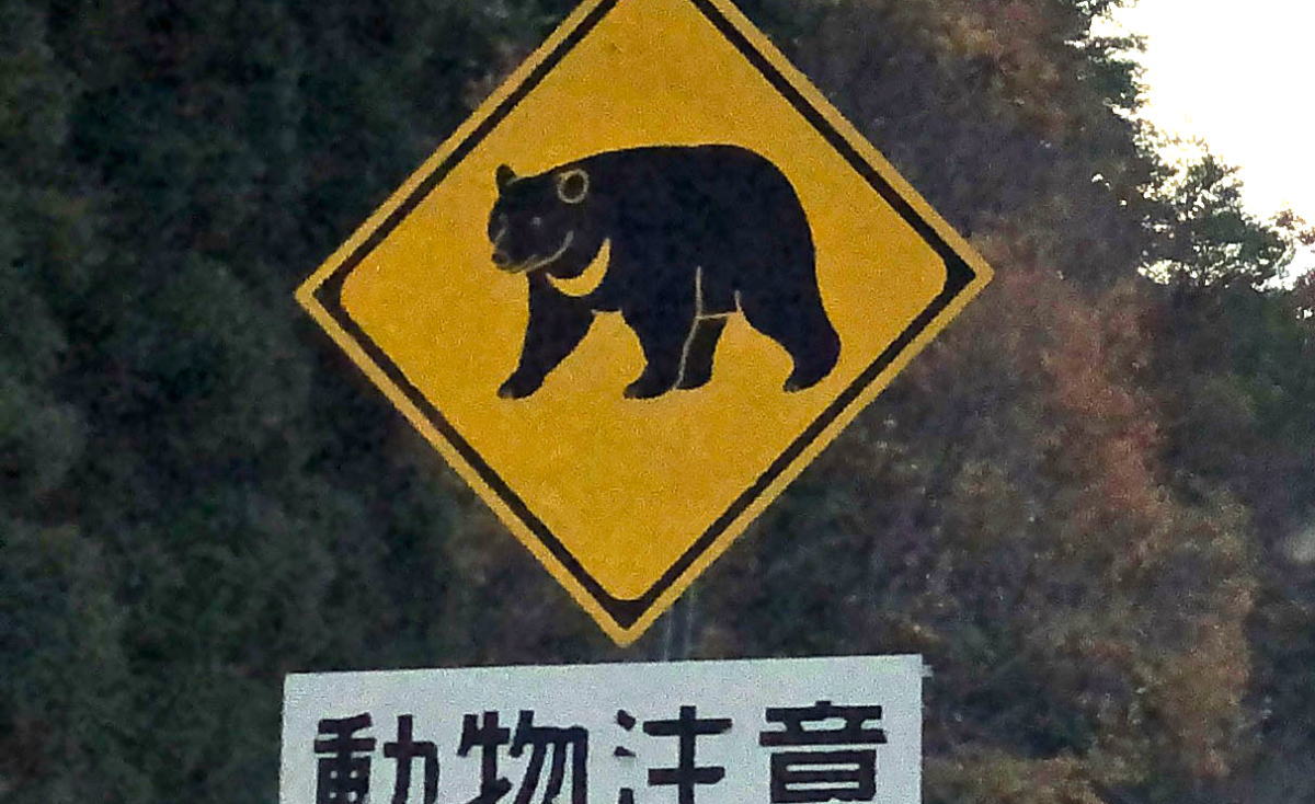 広島でも「クマが居るのは当然」人身被害を防ぐポイントは