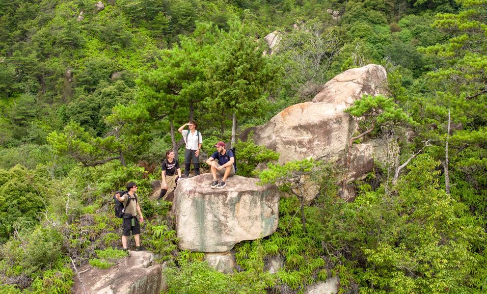 宮島ビューのトレッキングに焼き牡蠣・温泉付き、モニターツアーの参加者を募集