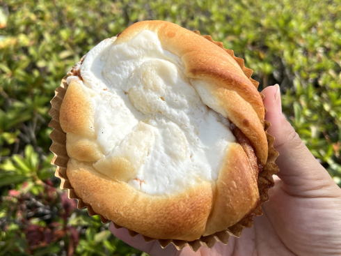 広島市中区 パンドール シナモンロール