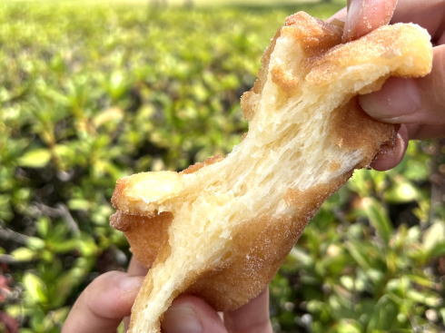 広島市中区 パンドール もっちもちボール2