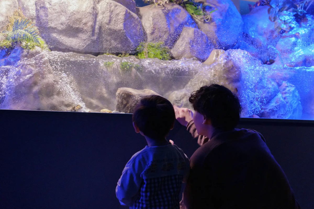 アルパークに復活!シン・マリホ水族館がオープン、ファミリー中心に癒される空間へ