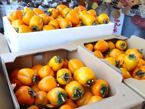 来夢とごうち 祇園坊柿で有名