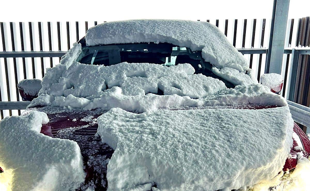 今年一番の大雪…！広島の沿岸部もあっという間に積雪、ドカ雪の気配 ご注意を