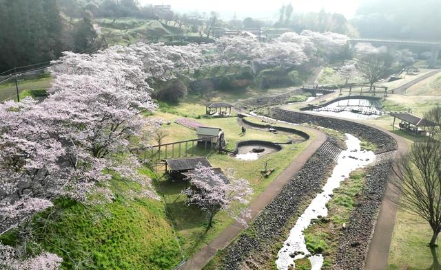 美和のさくら街道「明神原なごみ広場」