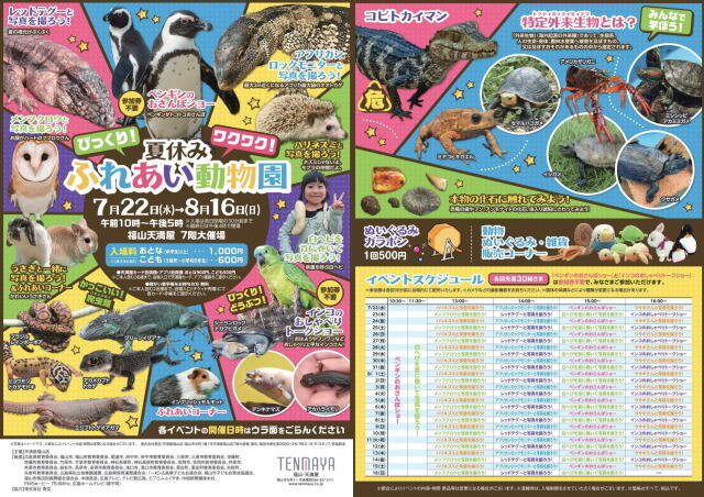 福山天満屋 夏休みふれあい動物園 チラシ画像