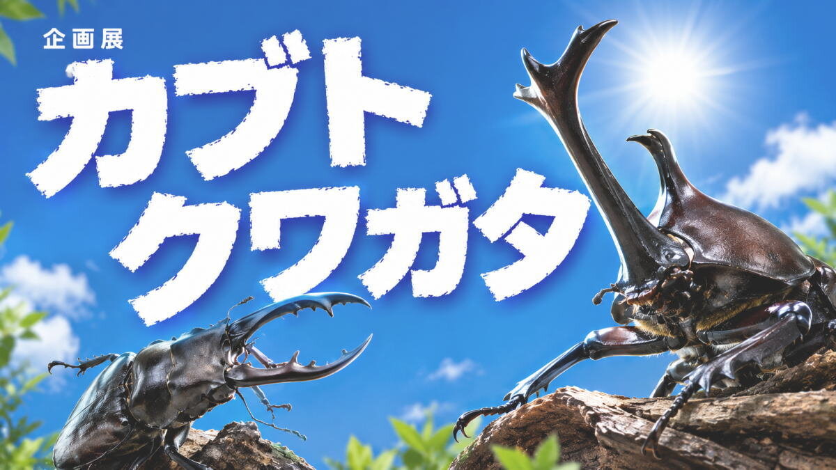 世界のカブト・クワガタ40種以上が集結!「カブト・クワガタ2026」広島市森林公園で夏の企画展