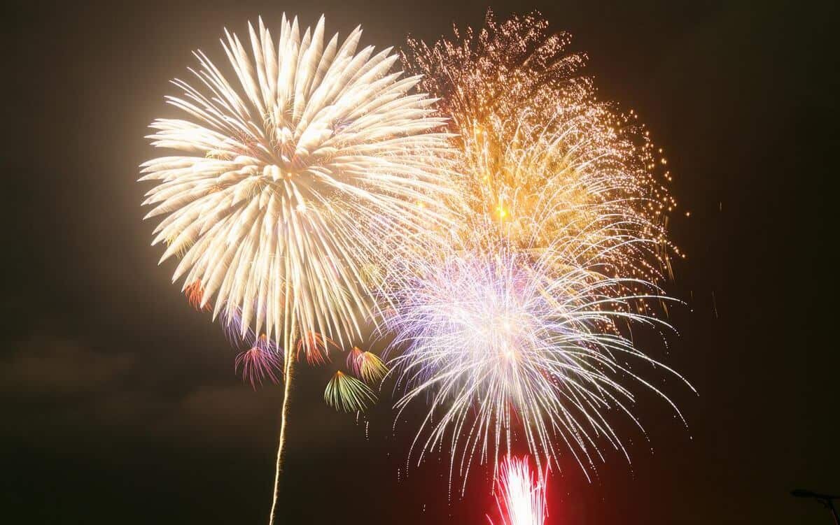 ゴギつかみ取り・モルック体験・花火も!庄原で「ヒバゴン郷ふるさと どえりゃあ祭」当日は映画撮影も
