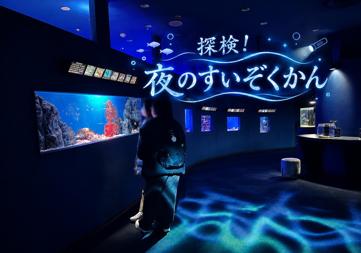 専用ライト片手に夜の水族館を探検!「シン・マリホ水族館」で初の夜イベント9月23日まで