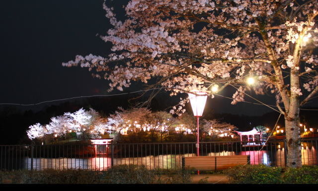 庄原市 上野公園